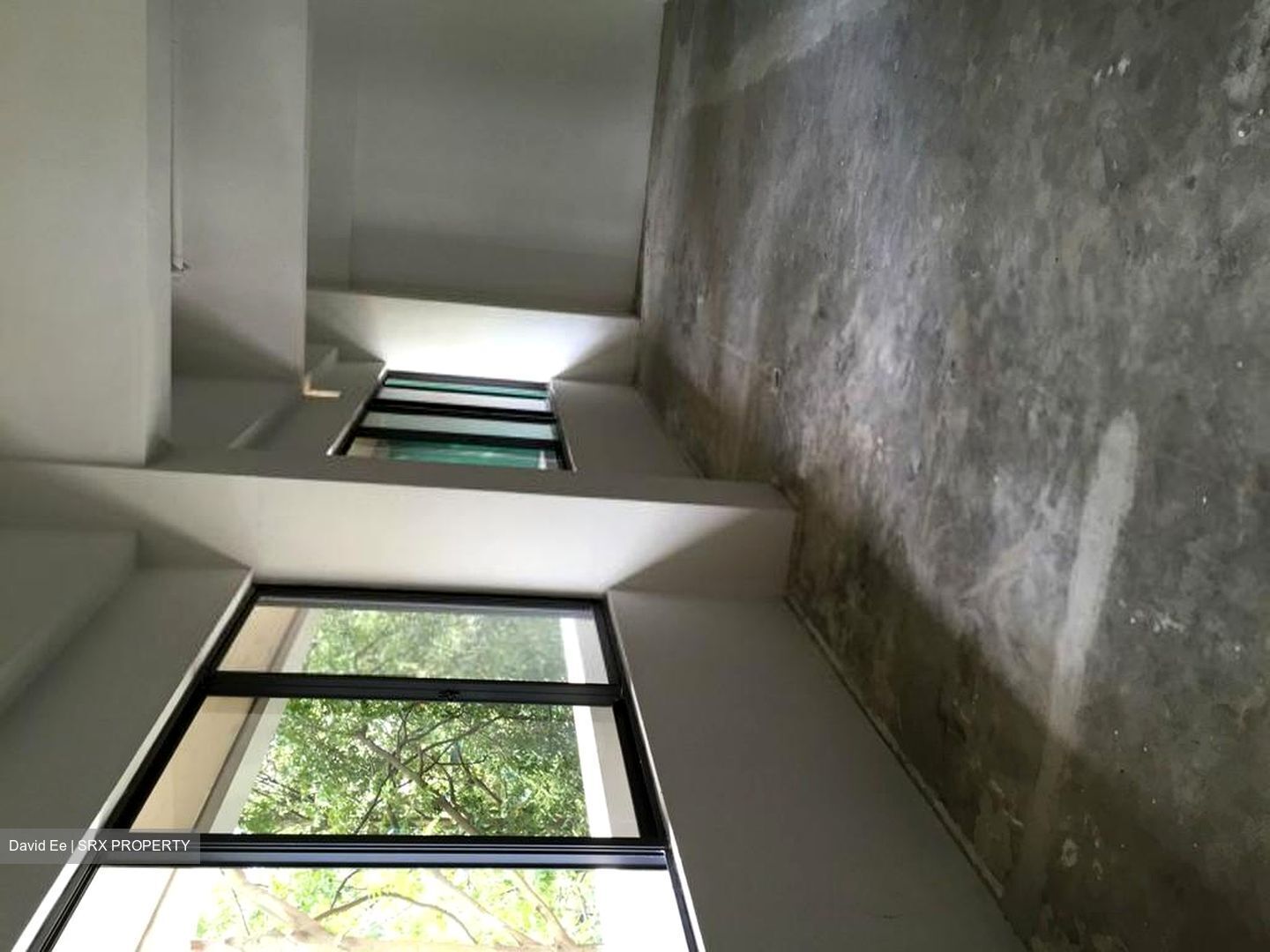 The Curie (D5), Factory #285802671